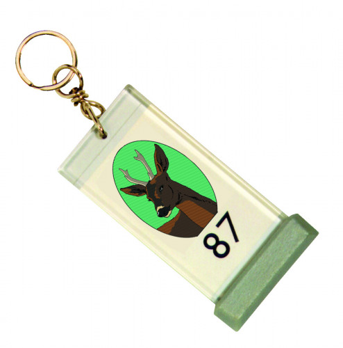Porte-clés transparent