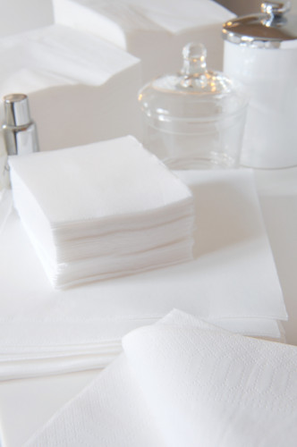 Serviette blanc ouate de cellulose 20x20 cm Celi Ouate Manufacture De L'ephemere (50 pièces)