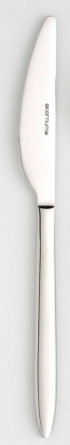 Couteau à dessert monobloc cranté 19,4 cm Frida Eternum