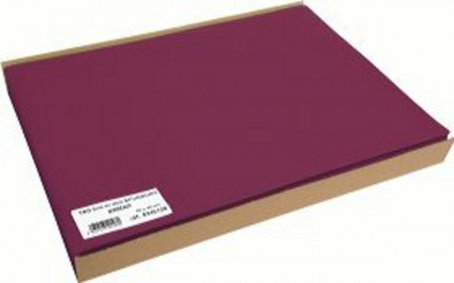 Set de table bordeaux plastique 30x40 cm (100 pièces)