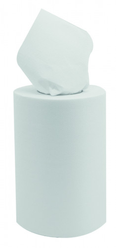 Bobine à dévidage central blanc ouate de cellulose 19,4x25 cm (9 pièces)