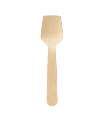Cuillère à glace 9,5 cm Duni (100 pièces)