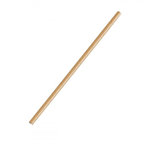 Pailles kraft papier Ø 0,6 cm 19,7 cm Earth Essentials (250 pièces)
